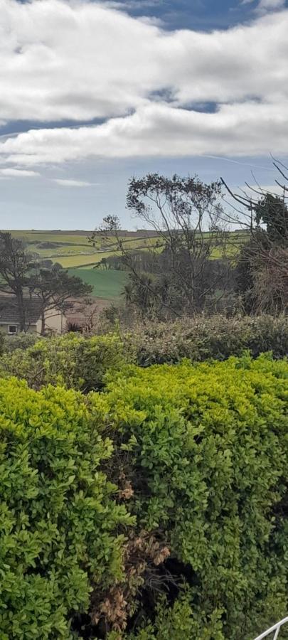 Little Orchard House Bed and Breakfast Salcombe Eksteriør billede